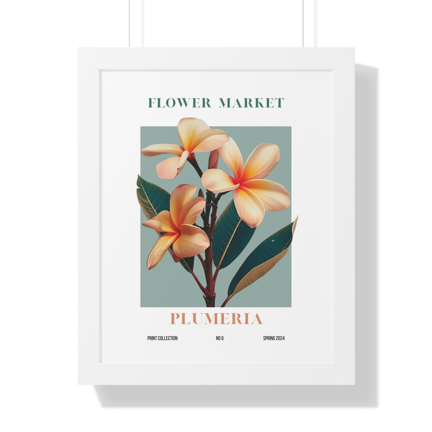 Plumeria Flower Market Framed Print