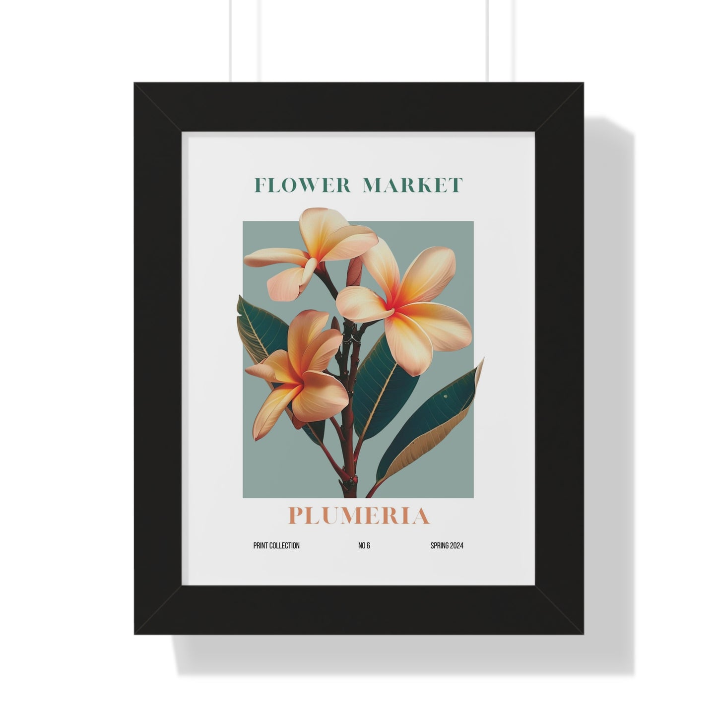 Plumeria Flower Market Framed Print