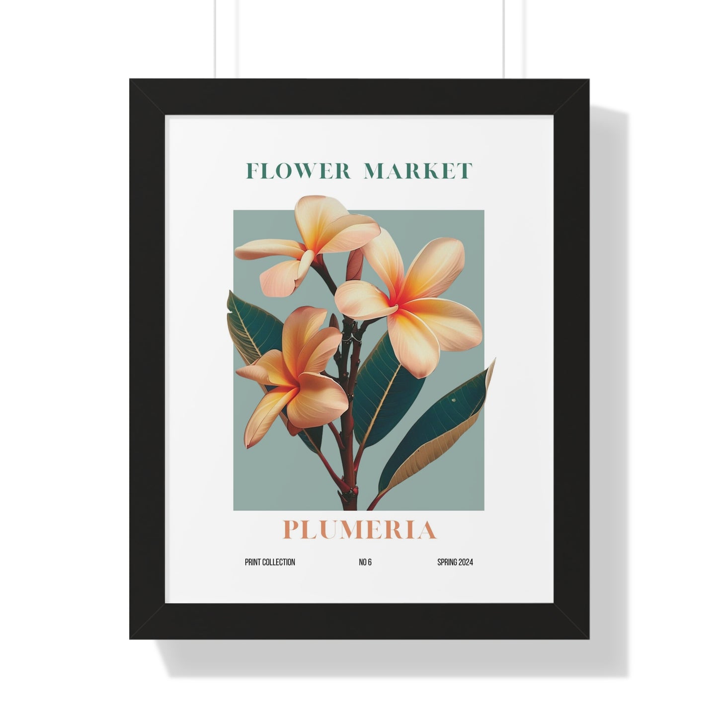 Plumeria Flower Market Framed Print