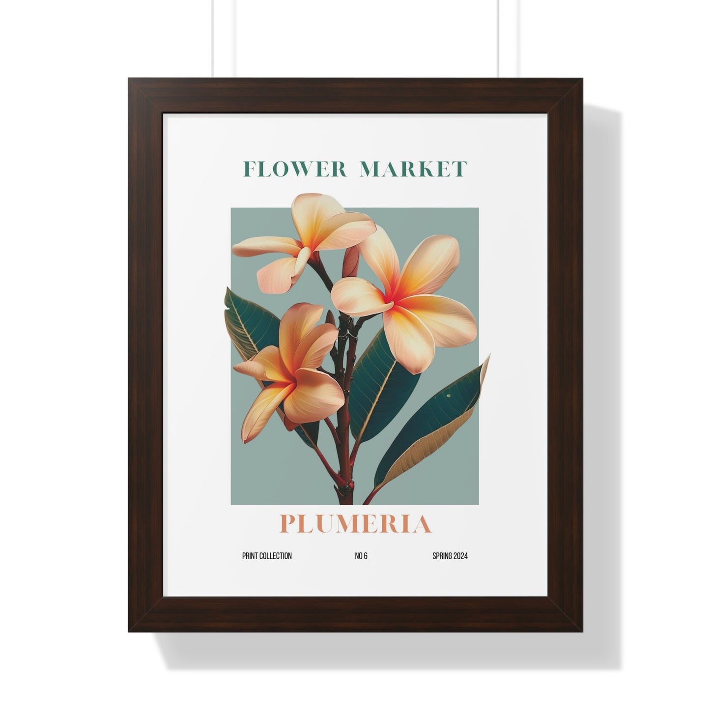 Plumeria Flower Market Framed Print