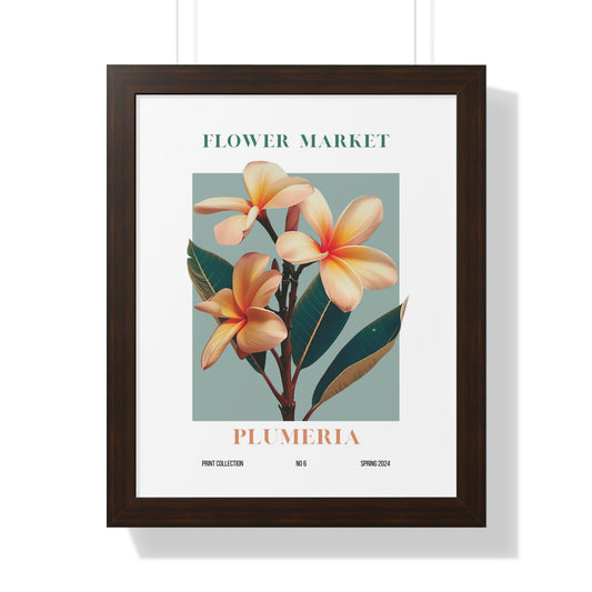 Plumeria Flower Market Framed Print