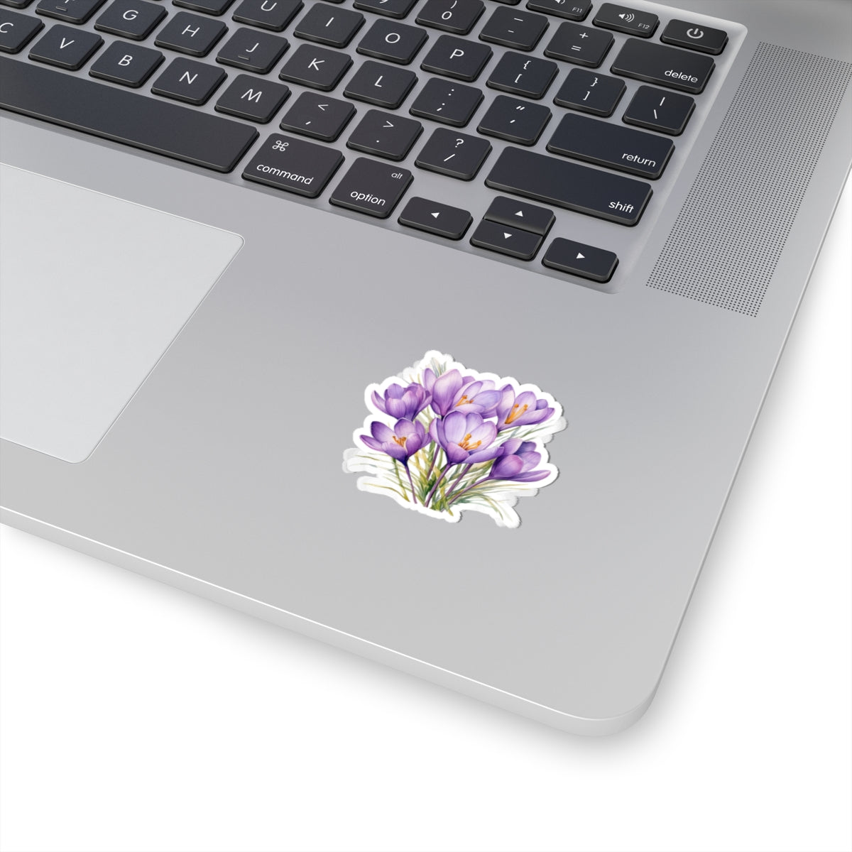 Crocus Flower, Sticker