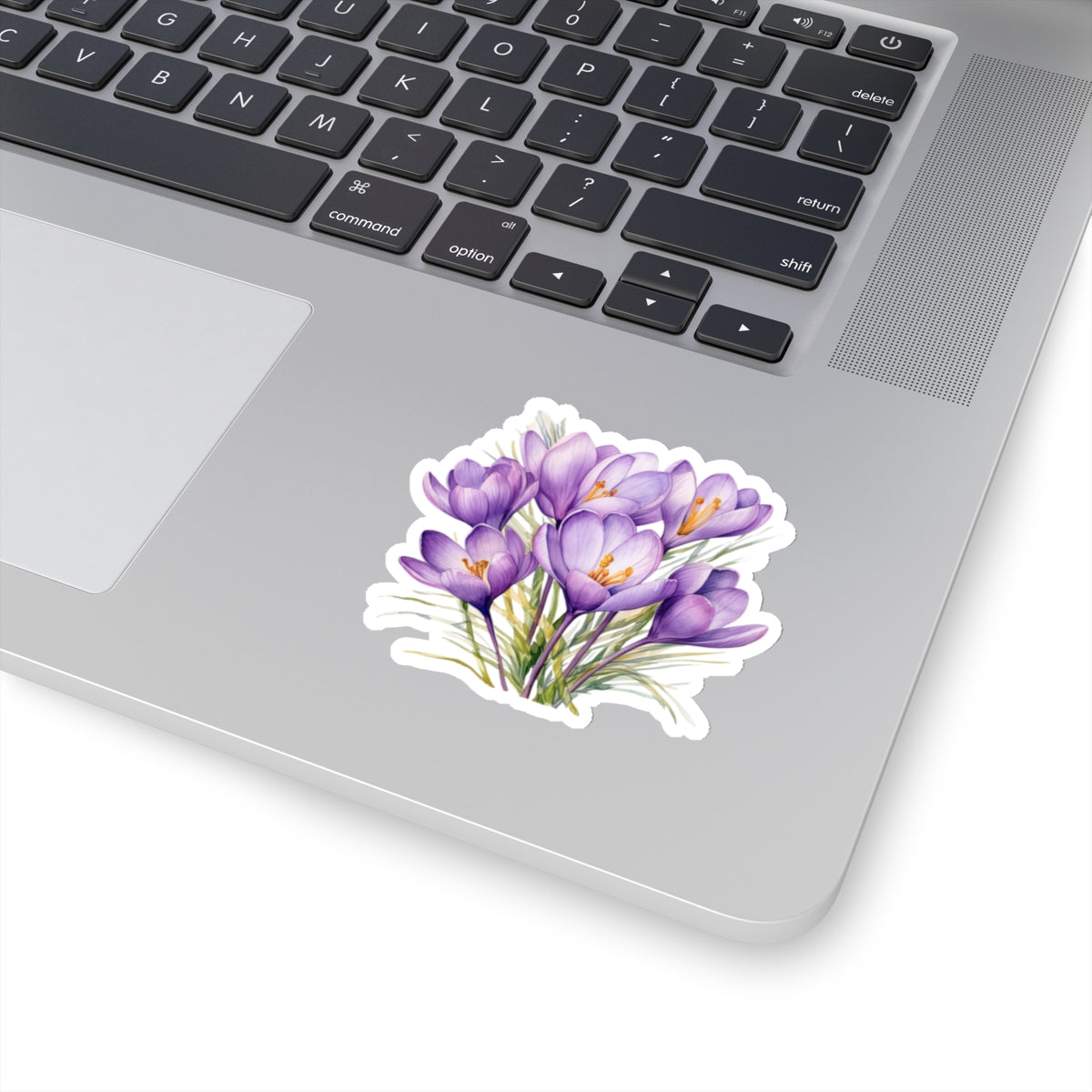 Crocus Flower, Sticker