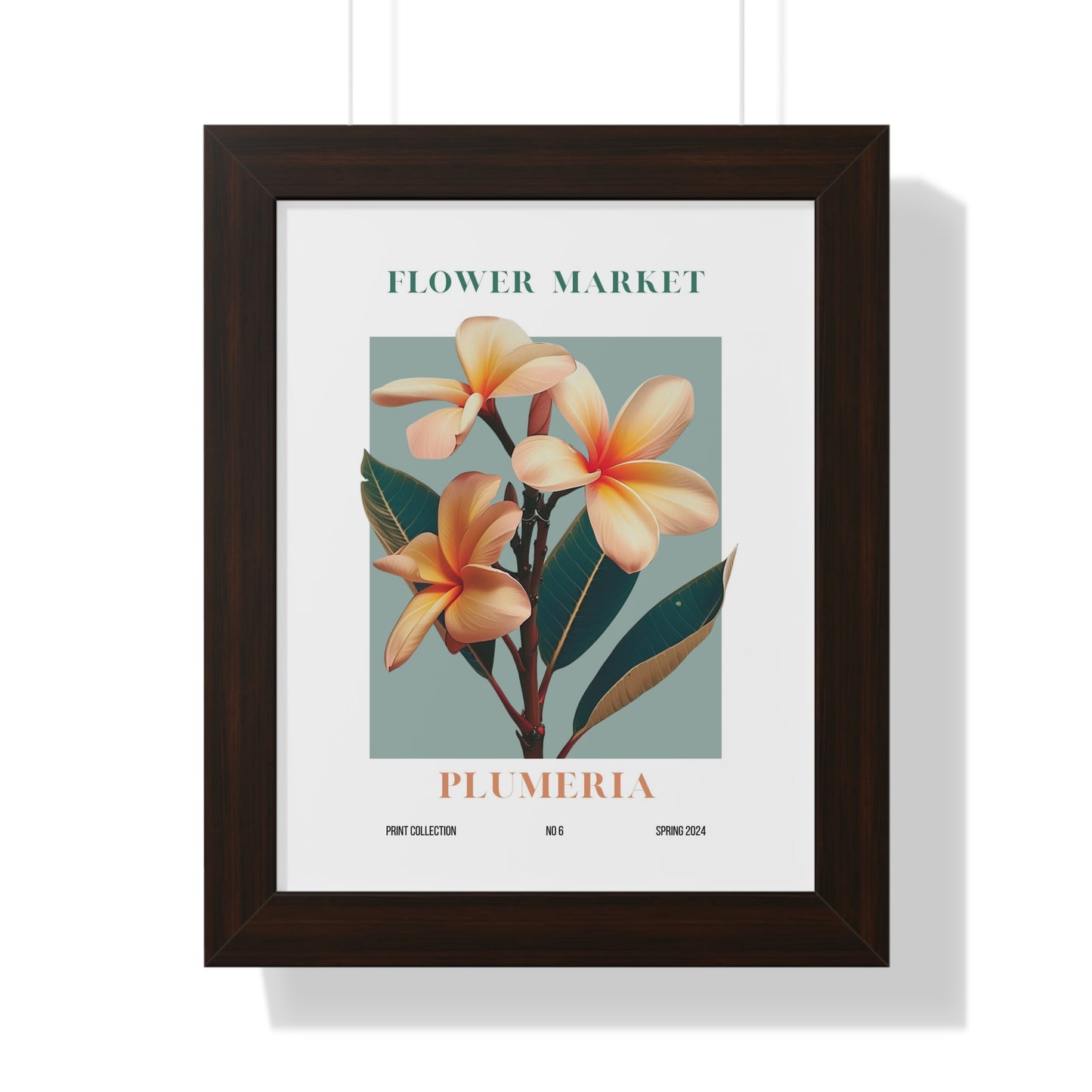 Plumeria Flower Market Framed Print
