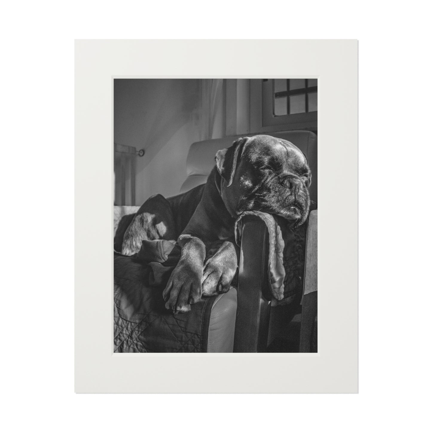 Sleepy Boxer #3 Art Print