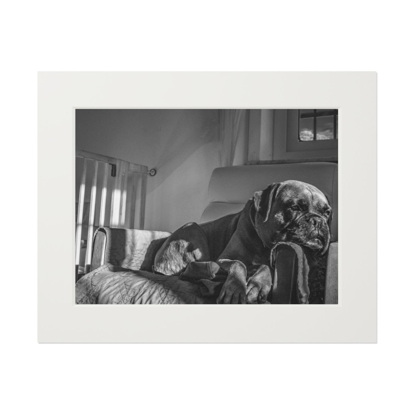 Sleepy Boxer #2 Art Print