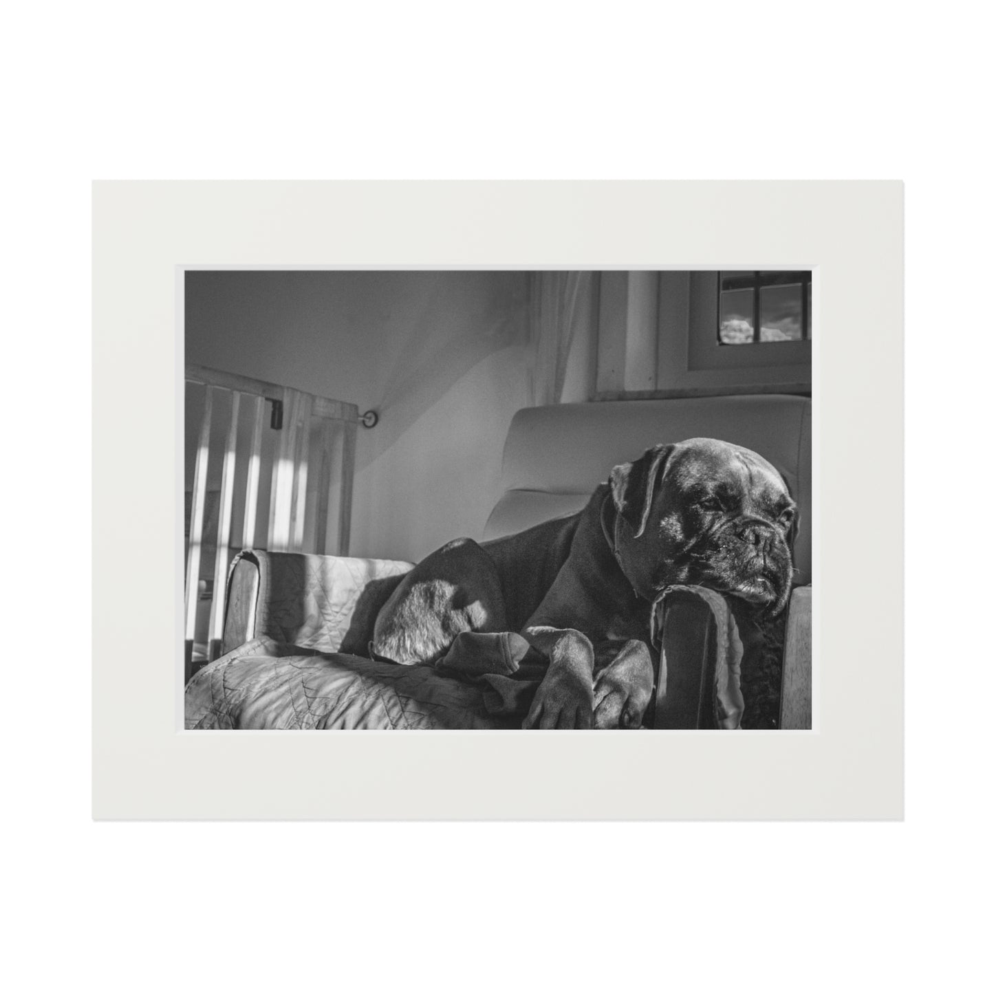 Sleepy Boxer #2 Art Print