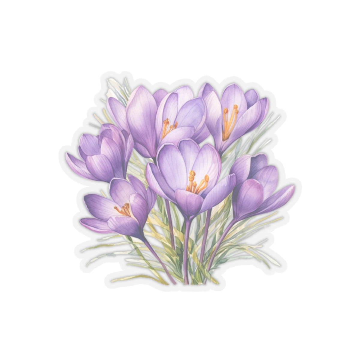 Crocus Flower, Sticker