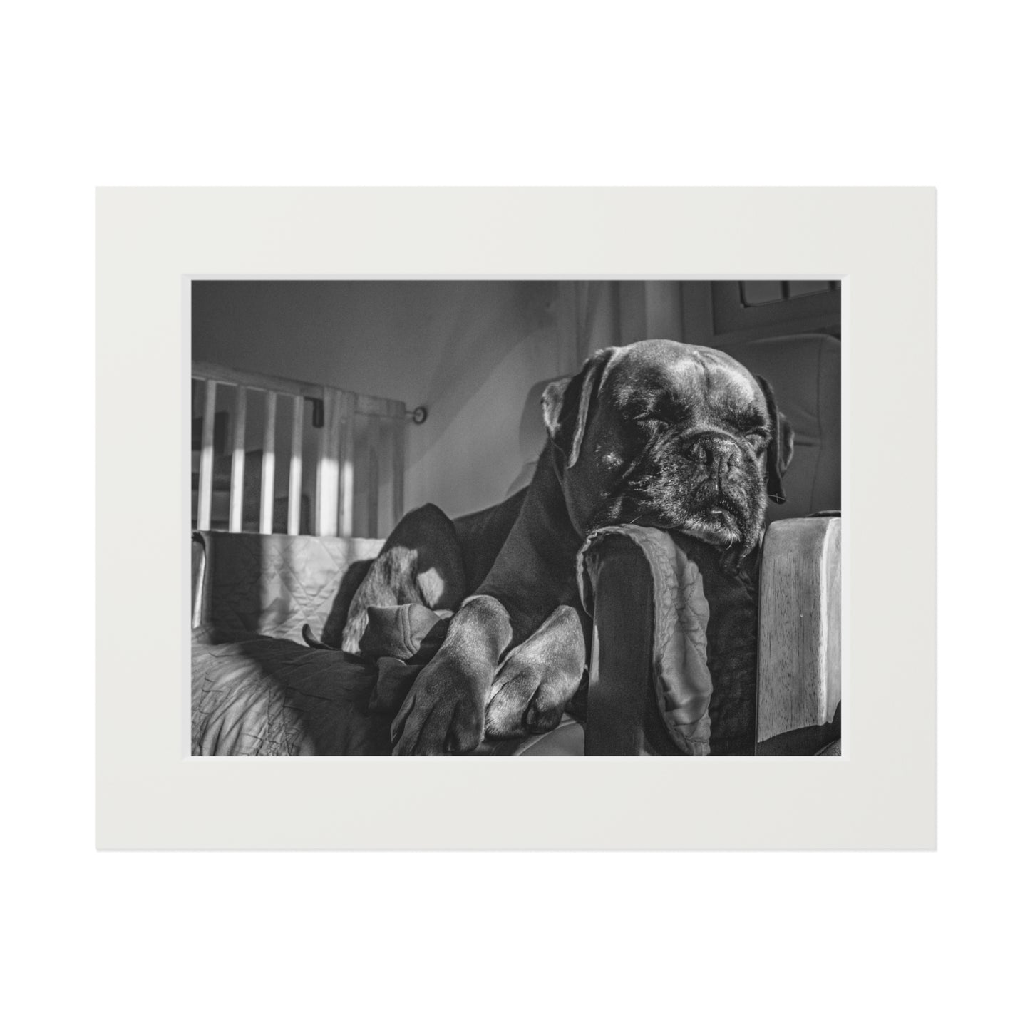 Sleepy Boxer #1 Art Print