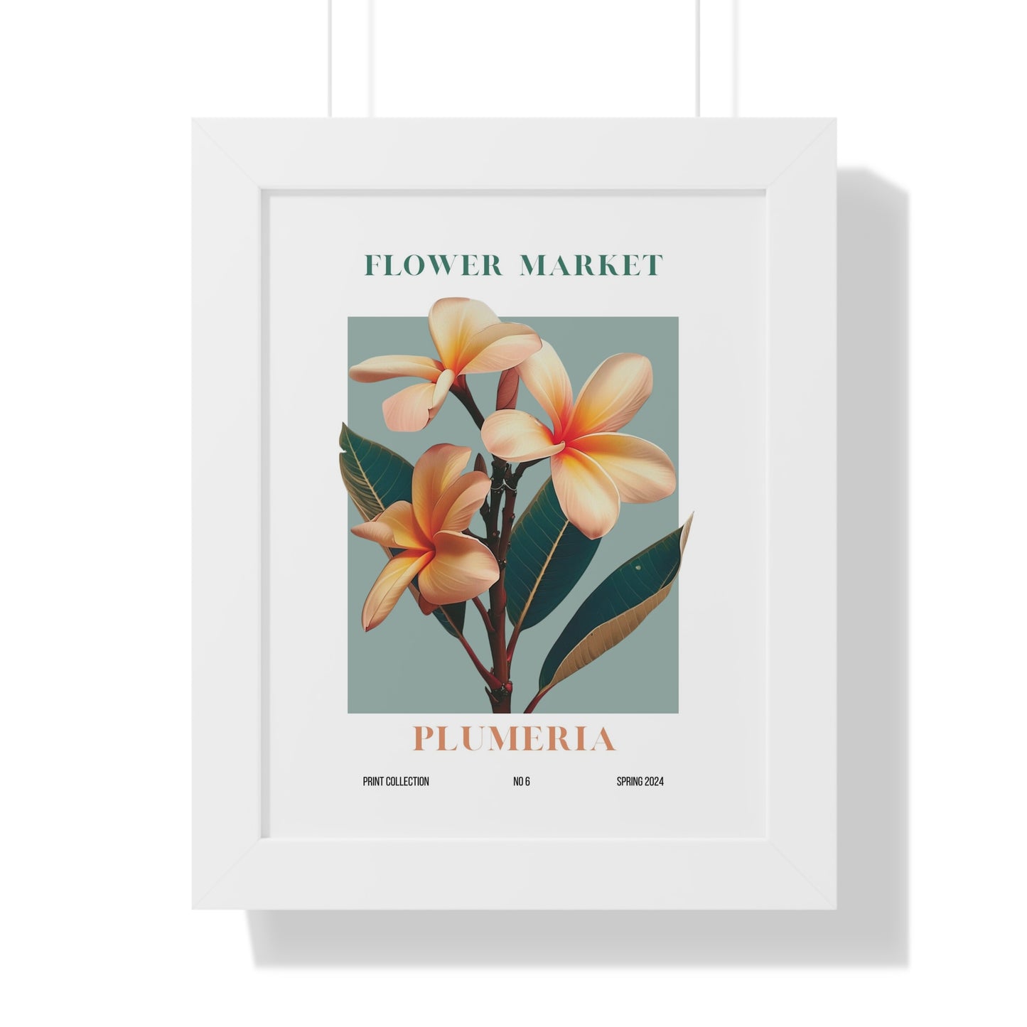 Plumeria Flower Market Framed Print