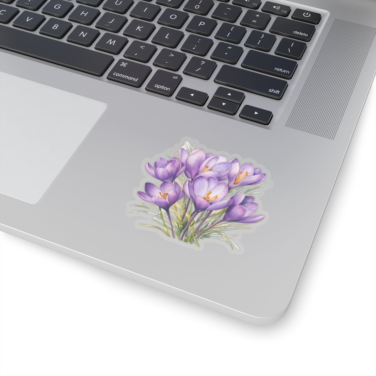 Crocus Flower, Sticker