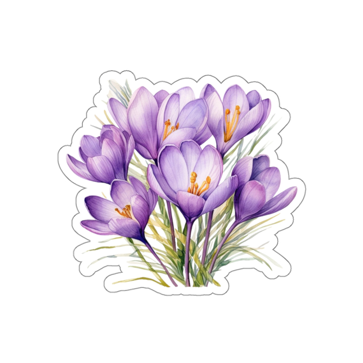 Crocus Flower, Sticker